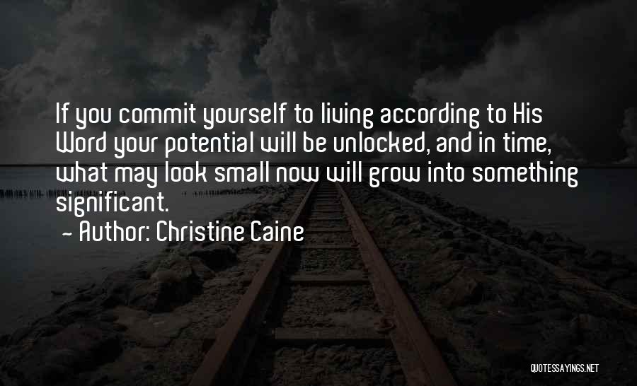 Small But Significant Quotes By Christine Caine