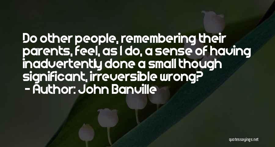 Small But Significant Quotes By John Banville