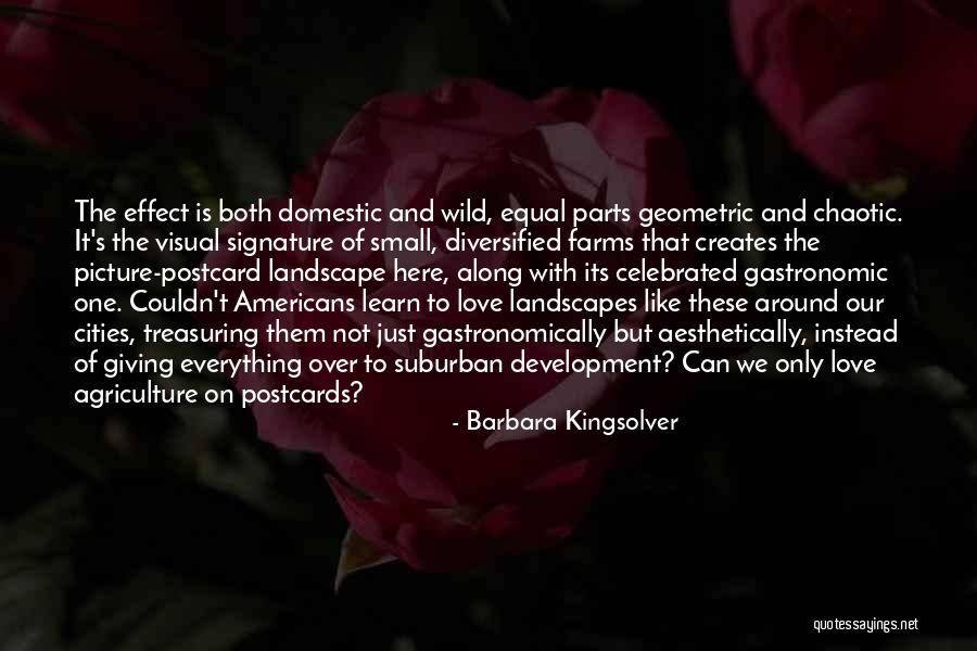 Small Cities Quotes By Barbara Kingsolver