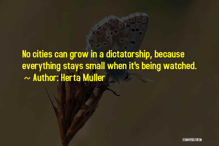 Small Cities Quotes By Herta Muller Small Cities Quotes By Herta Muller