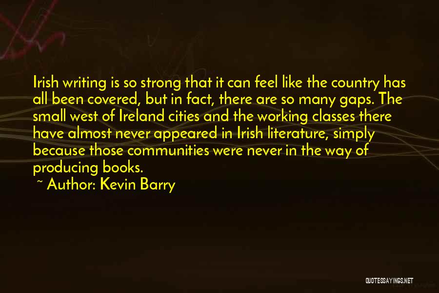 Small Cities Quotes By Kevin Barry