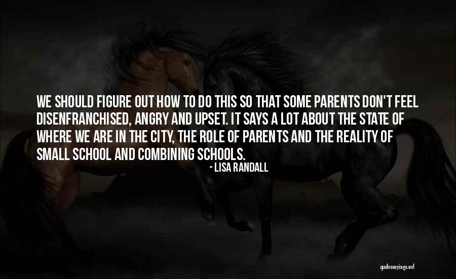 Small Cities Quotes By Lisa Randall