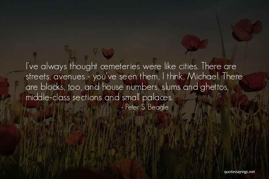 Small Cities Quotes By Peter S. Beagle