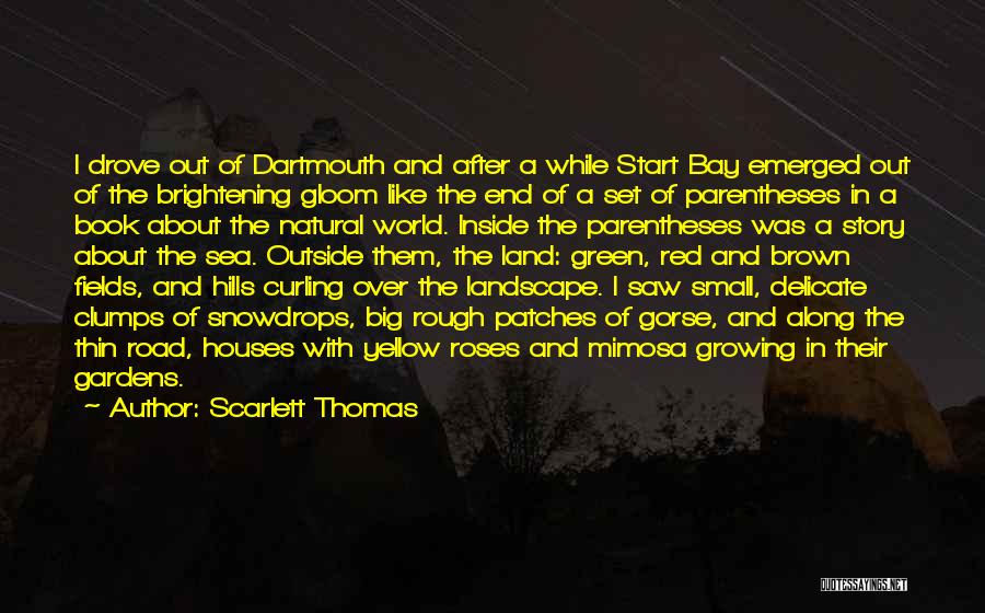 Small Cities Quotes By Scarlett Thomas Small Cities Quotes By Scarlett Thomas