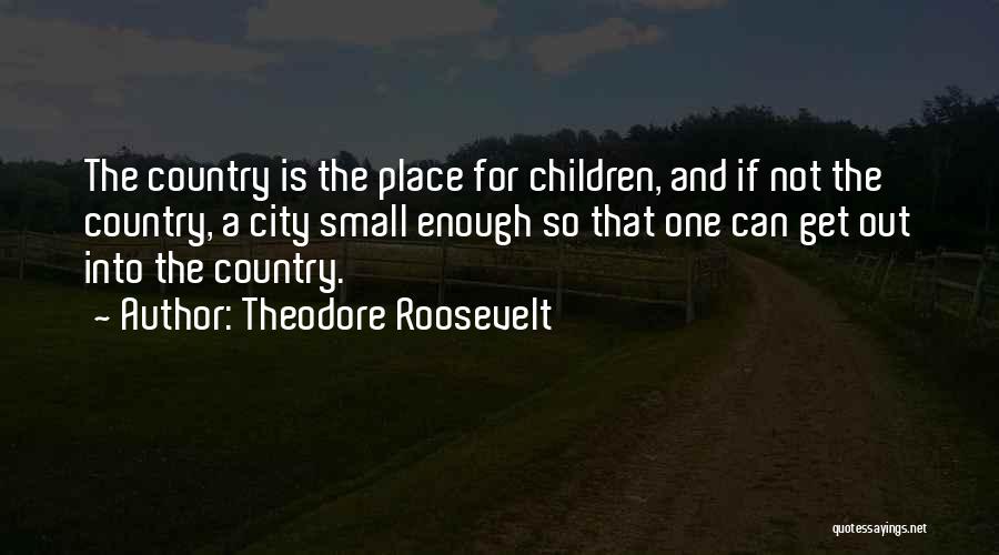 Small Cities Quotes By Theodore Roosevelt