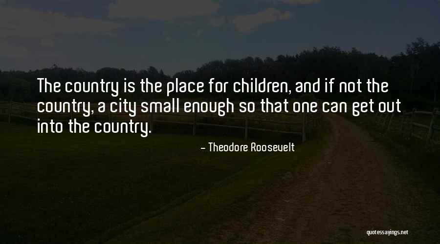 Small Cities Quotes By Theodore Roosevelt