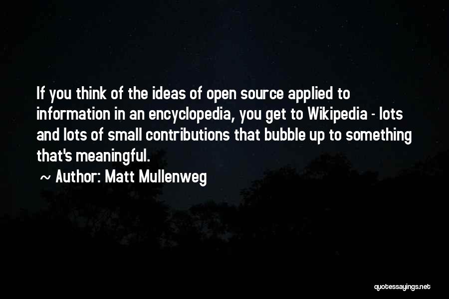 Small Contributions Quotes By Matt Mullenweg