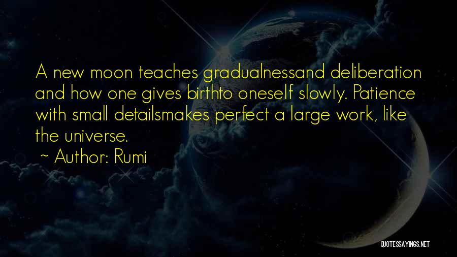 Small Details Quotes By Rumi
