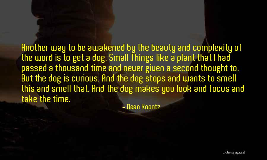 Small Dog Quotes By Dean Koontz Small Dog Quotes By Dean Koontz