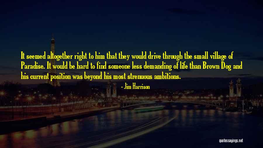 Small Dog Quotes By Jim Harrison Small Dog Quotes By Jim Harrison