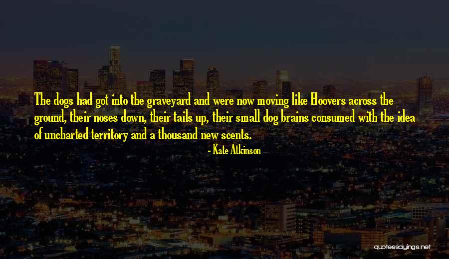 Small Dog Quotes By Kate Atkinson Small Dog Quotes By Kate Atkinson
