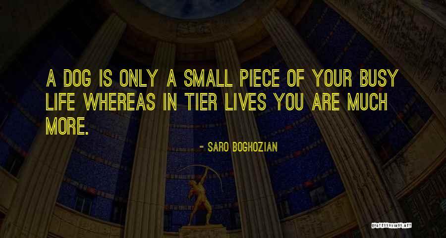Small Dog Quotes By Saro Boghozian Small Dog Quotes By Saro Boghozian