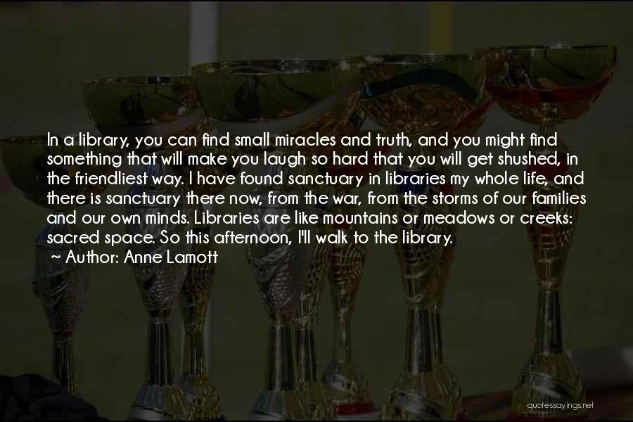 Small Families Quotes By Anne Lamott