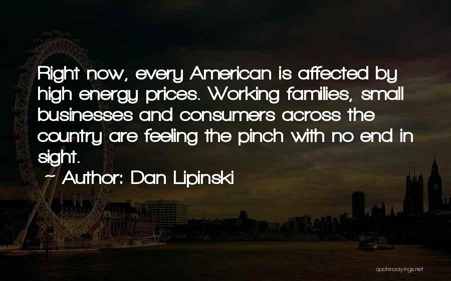 Small Families Quotes By Dan Lipinski