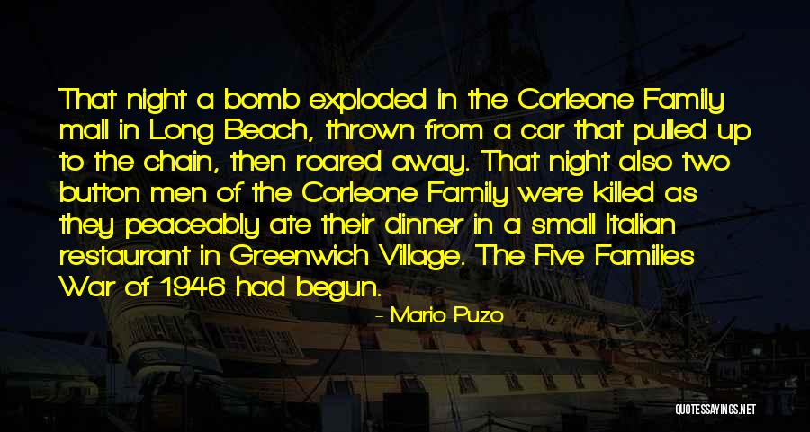 Small Families Quotes By Mario Puzo