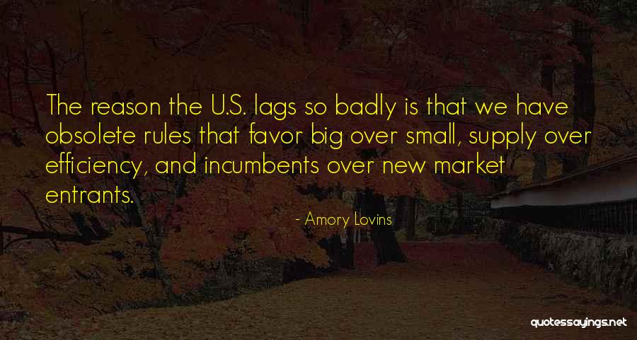 Small Favors Quotes By Amory Lovins