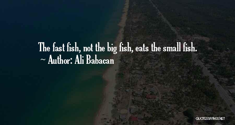 Small Fish Quotes By Ali Babacan