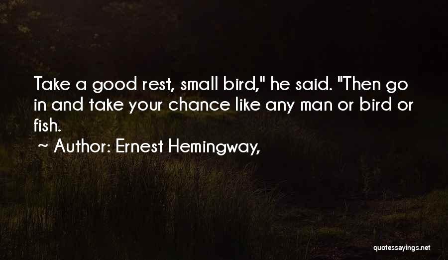 Small Fish Quotes By Ernest Hemingway,