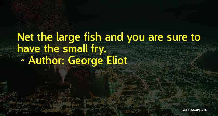 Small Fish Quotes By George Eliot