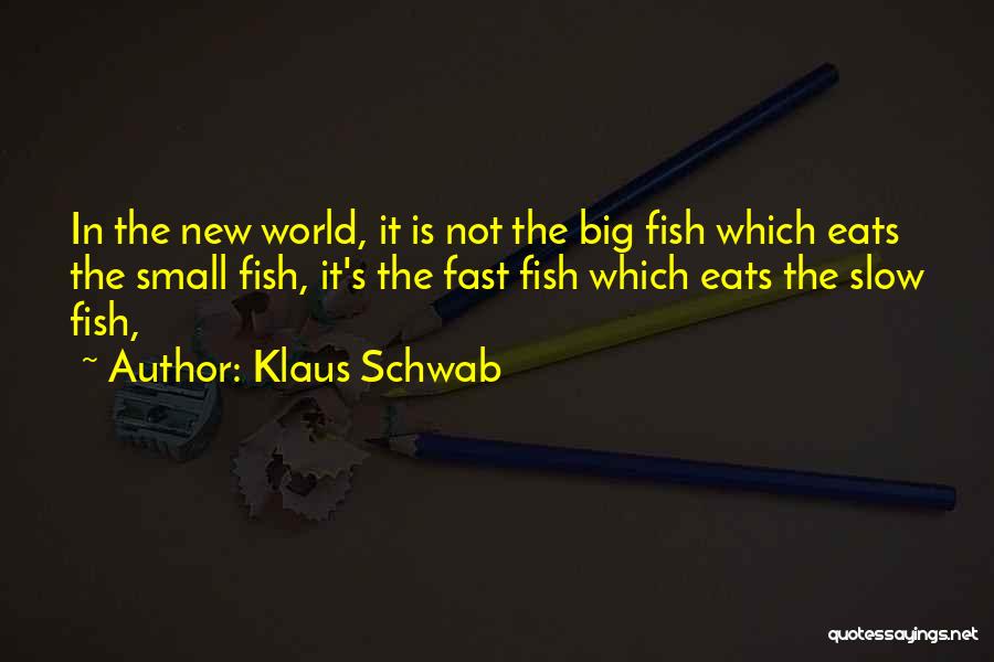 Small Fish Quotes By Klaus Schwab