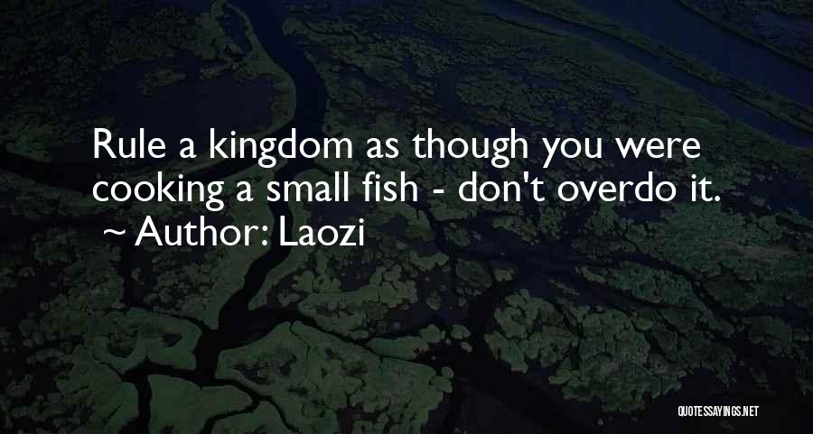 Small Fish Quotes By Laozi