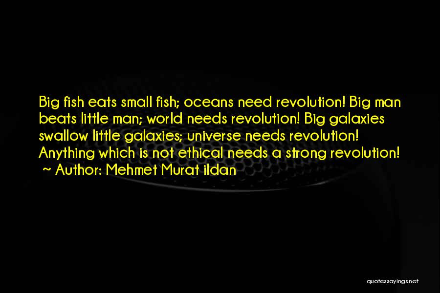 Small Fish Quotes By Mehmet Murat Ildan