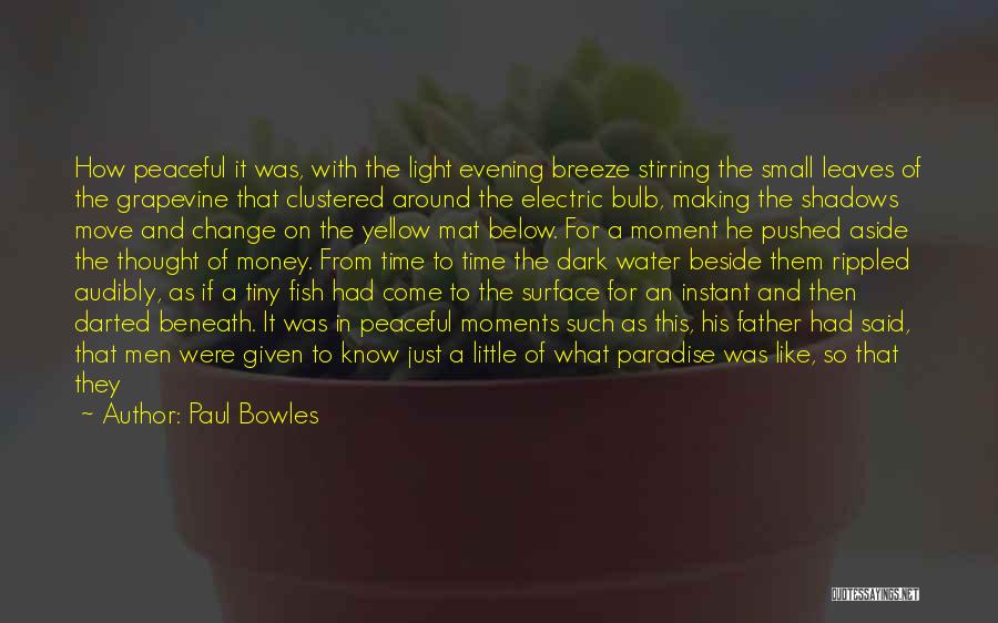 Small Fish Quotes By Paul Bowles