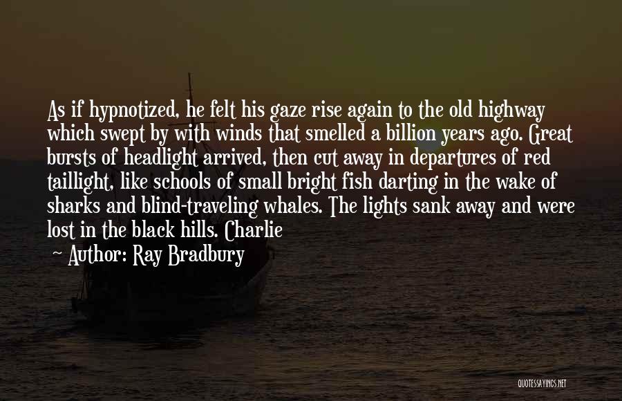 Small Fish Quotes By Ray Bradbury