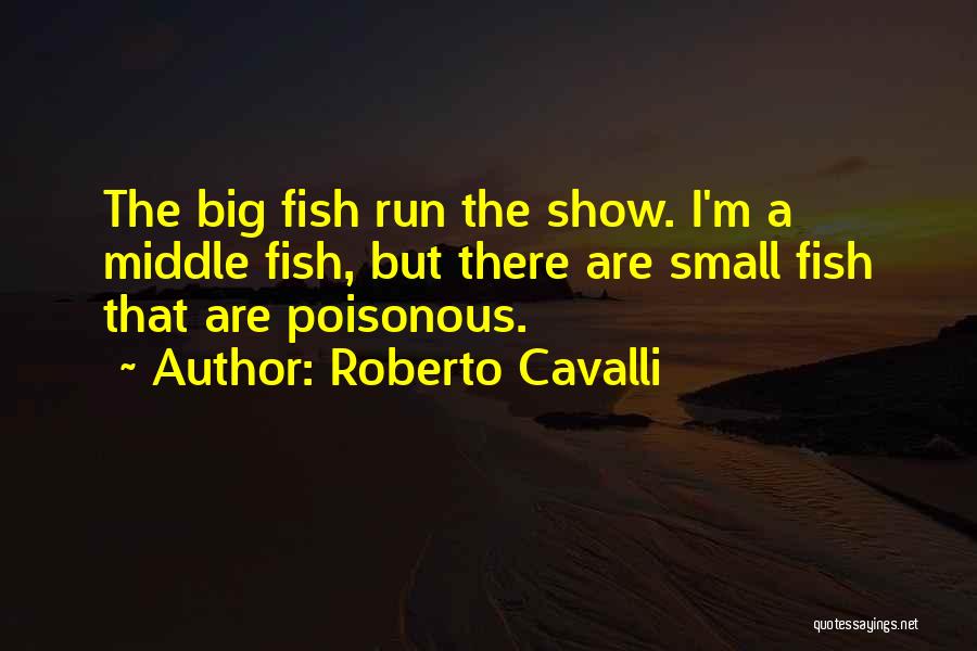 Small Fish Quotes By Roberto Cavalli