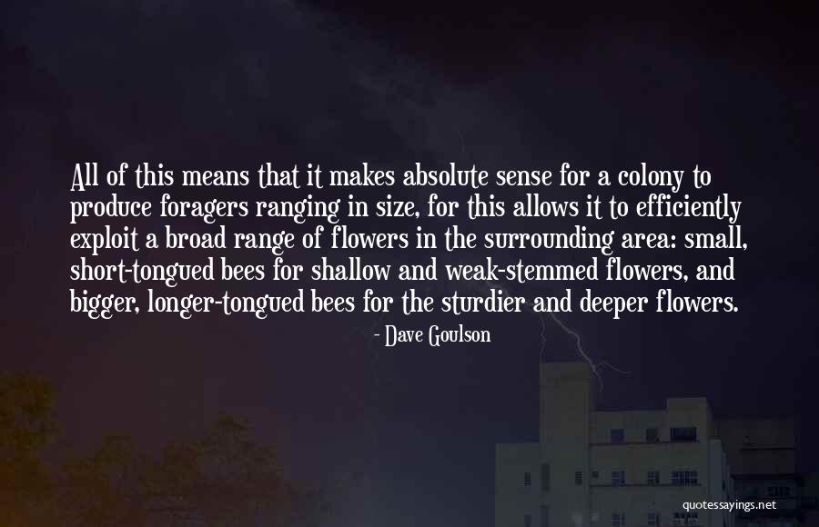 Small Flowers Quotes By Dave Goulson Small Flowers Quotes By Dave Goulson