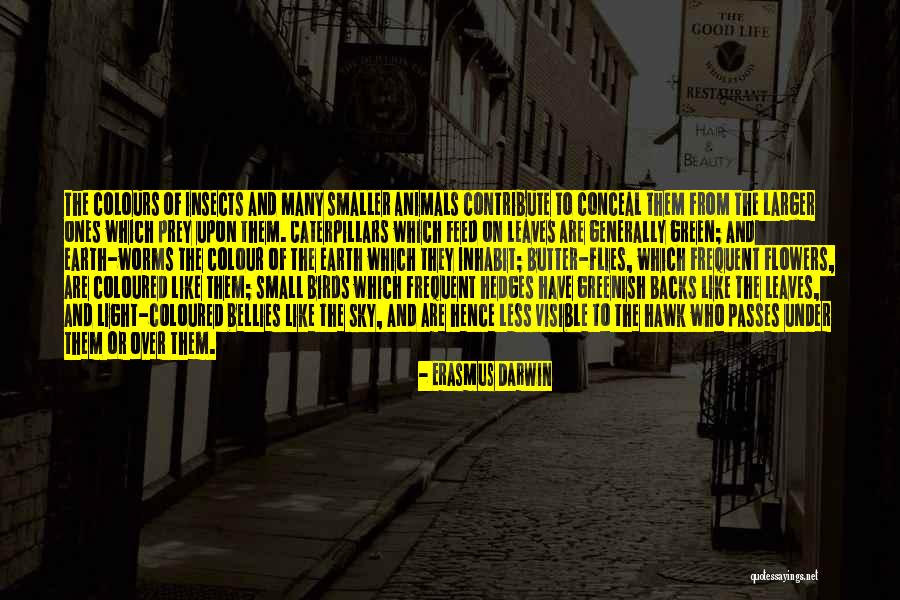 Small Flowers Quotes By Erasmus Darwin Small Flowers Quotes By Erasmus Darwin