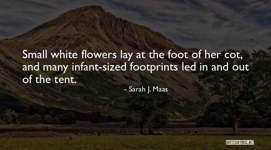 Small Flowers Quotes By Sarah J. Maas Small Flowers Quotes By Sarah J. Maas