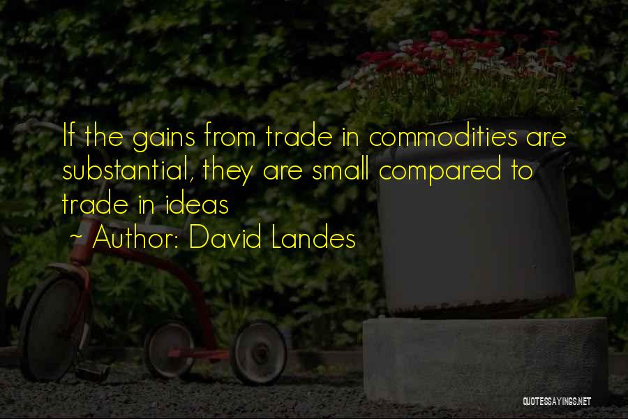 Small Gains Quotes By David Landes