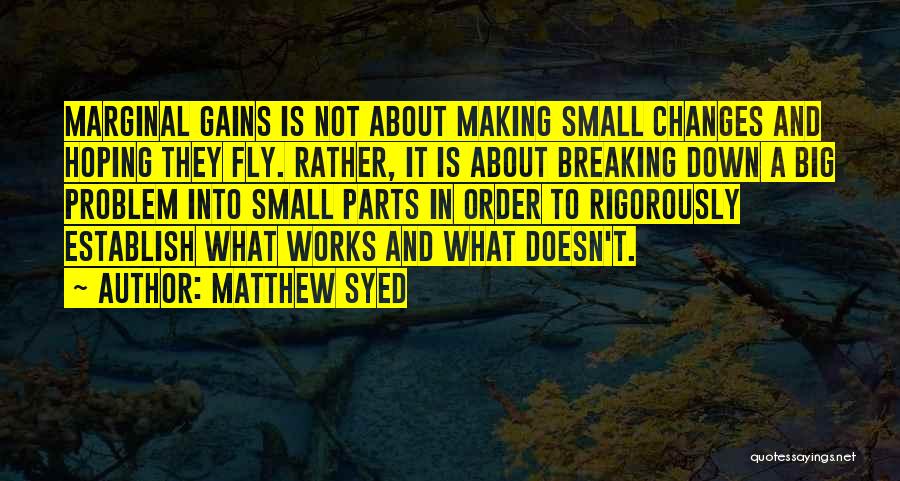 Small Gains Quotes By Matthew Syed