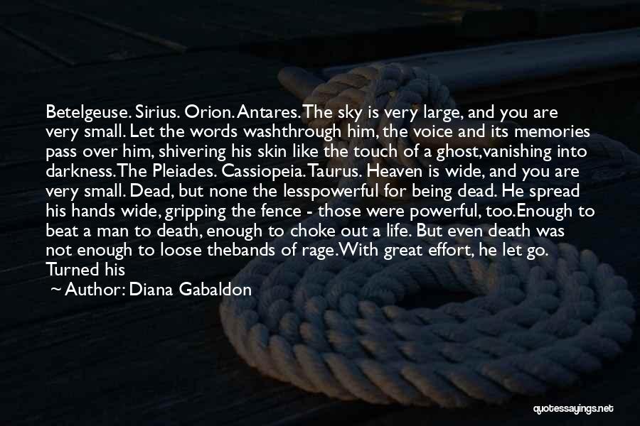 Small Gesture Quotes By Diana Gabaldon