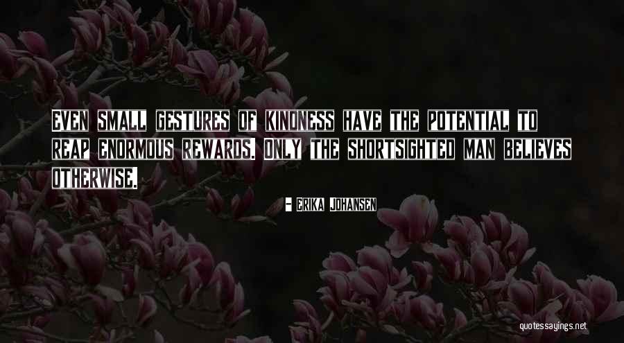 Small Gestures Quotes By Erika Johansen