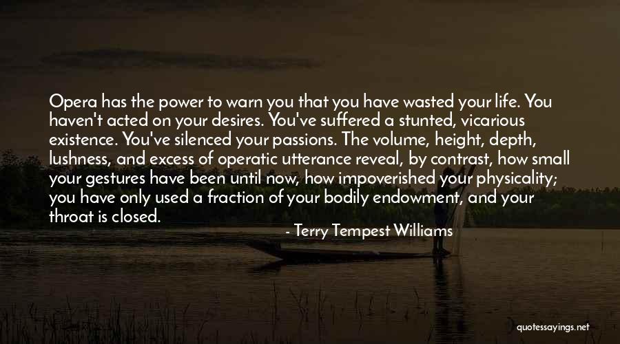 Small Gestures Quotes By Terry Tempest Williams