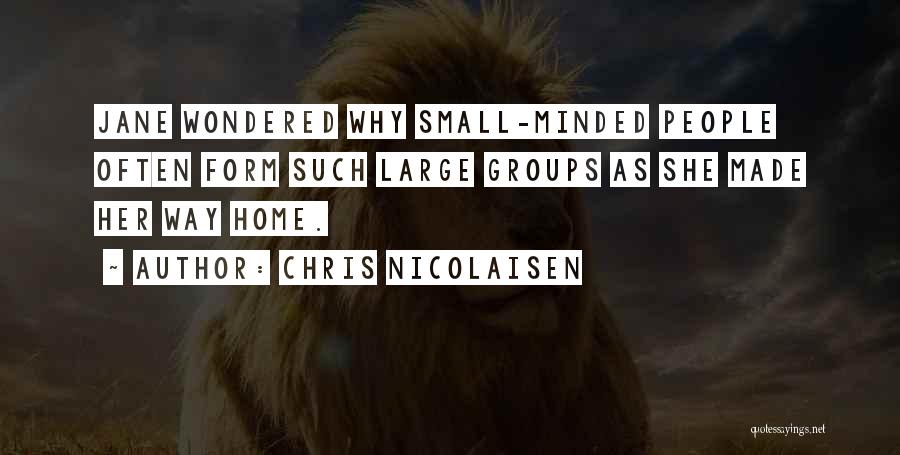 Small Groups Quotes By Chris Nicolaisen