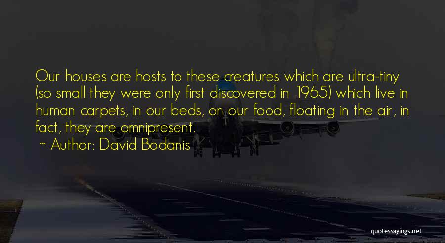Small Houses Quotes By David Bodanis