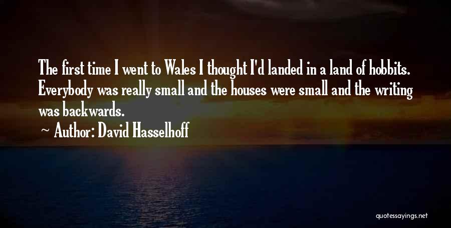 Small Houses Quotes By David Hasselhoff