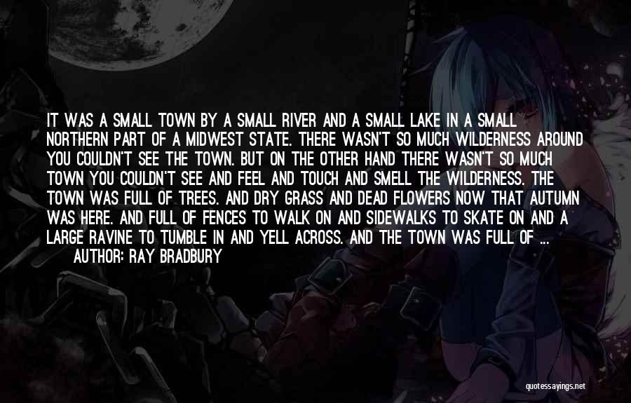 Small Houses Quotes By Ray Bradbury