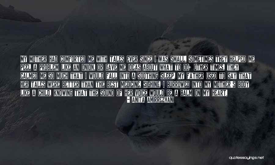 Small Ideas Quotes By Anita Amirrezvani Small Ideas Quotes By Anita Amirrezvani