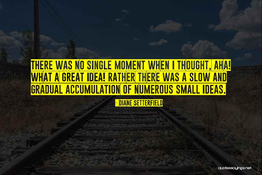 Small Ideas Quotes By Diane Setterfield Small Ideas Quotes By Diane Setterfield