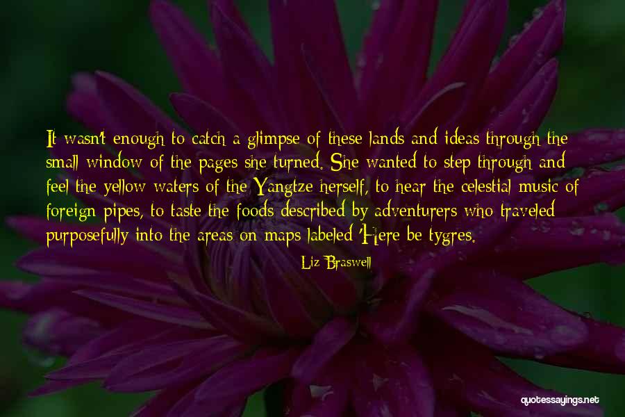 Small Ideas Quotes By Liz Braswell Small Ideas Quotes By Liz Braswell