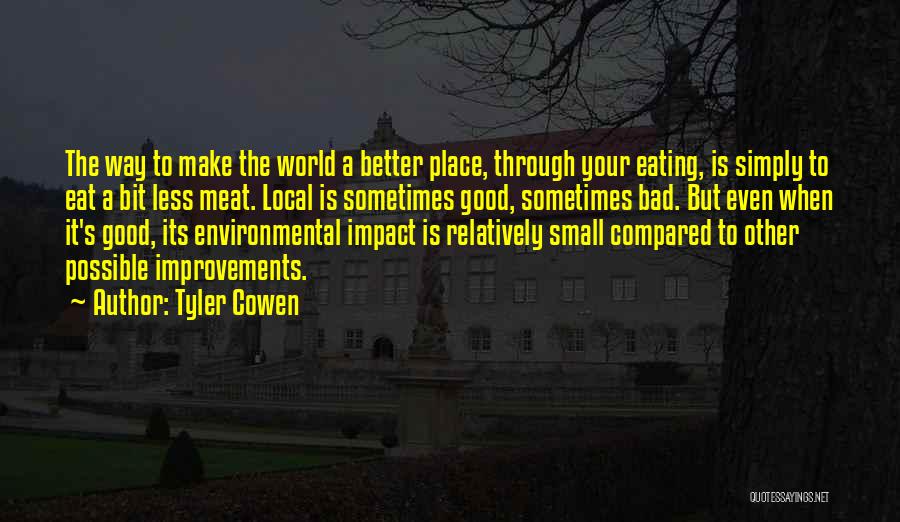 Small Improvements Quotes By Tyler Cowen