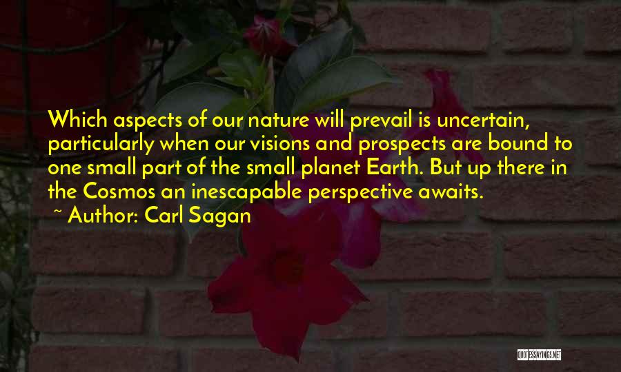 Small In Nature Quotes By Carl Sagan