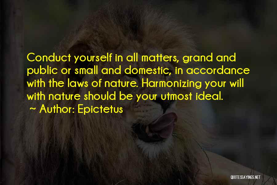 Small In Nature Quotes By Epictetus