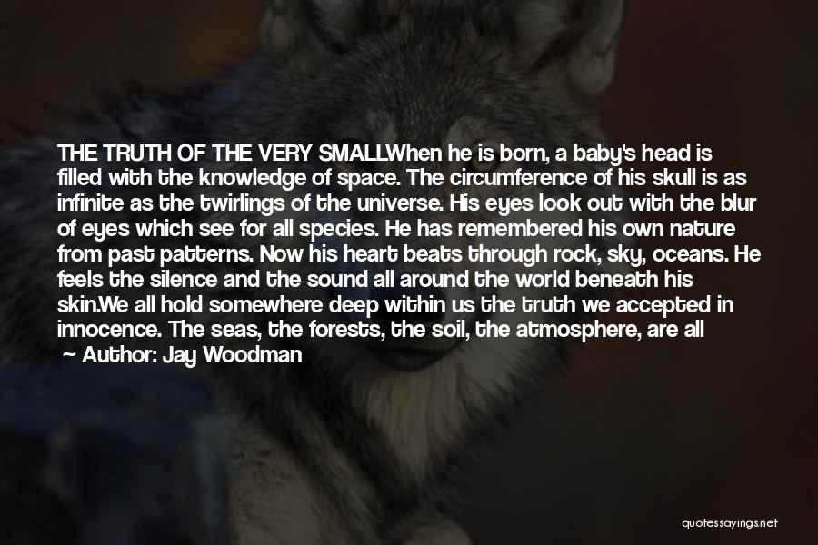 Small In Nature Quotes By Jay Woodman