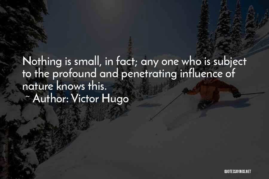 Small In Nature Quotes By Victor Hugo