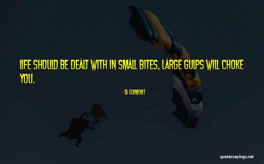 Small Inspirational And Motivational Quotes By TA Guimont